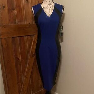 Chic Blue and Black Midi Dress